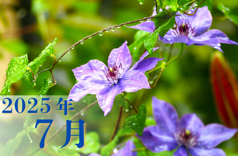 7月度営業カレンダー