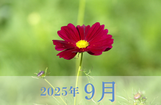 9月度営業カレンダー
