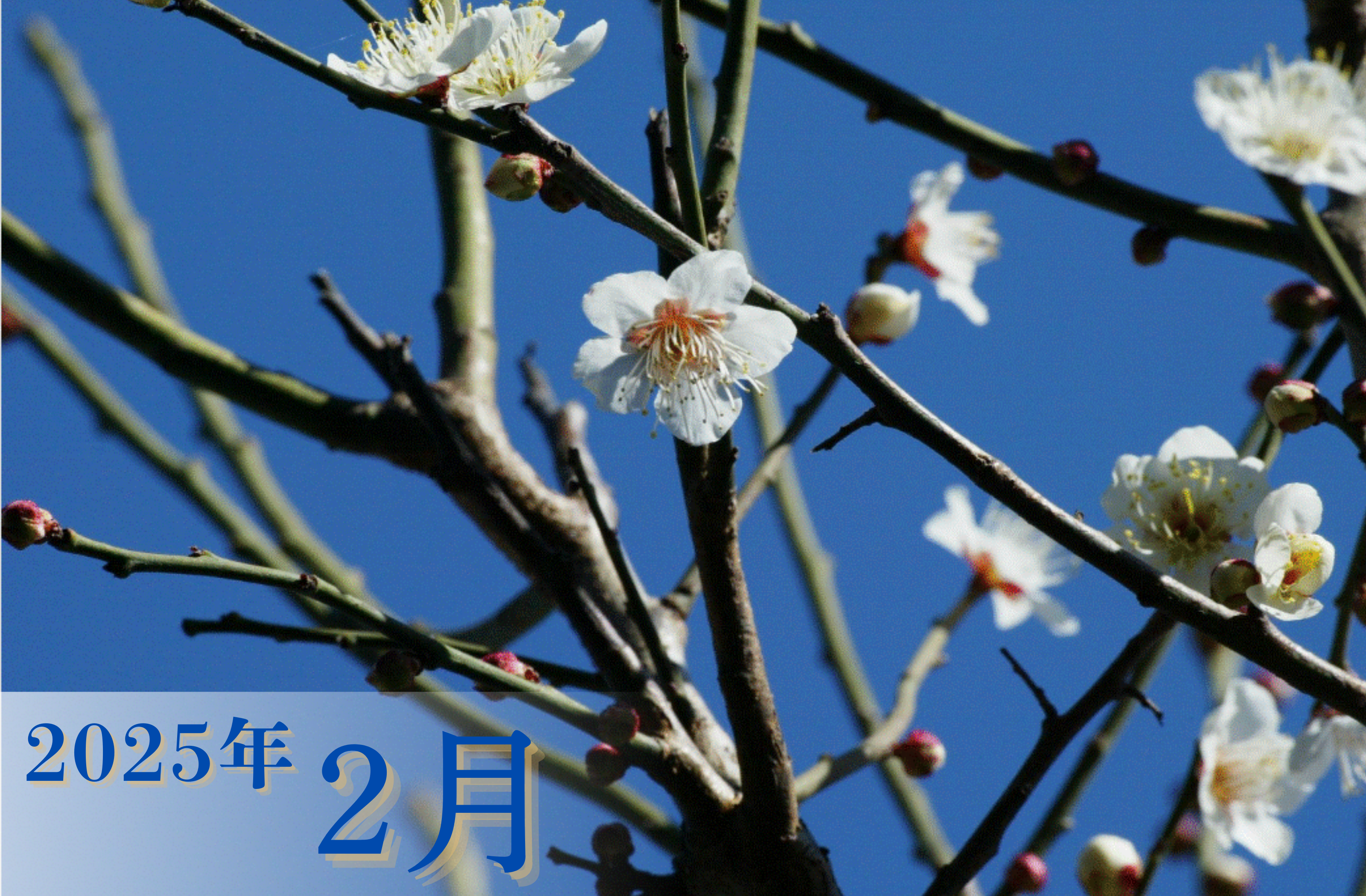 2月度営業カレンダー
